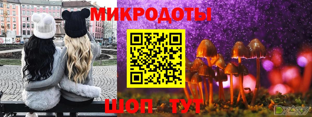 Мичуринск  Галлюциногенные грибы Psilocybine cubensis  Вход с VPN 
