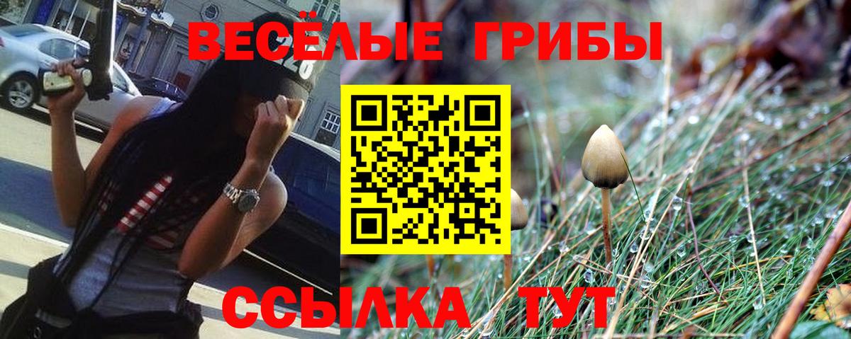 Галлюциногенные грибы прущие грибы Мичуринск